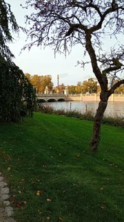Linkis die Sommerlinde rechts Schloßbrücke nach Schwerin